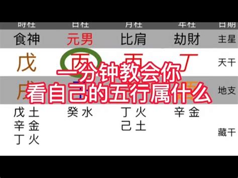 五行 命 格|免費生辰八字五行屬性查詢、算命、分析命盤喜用神、喜忌